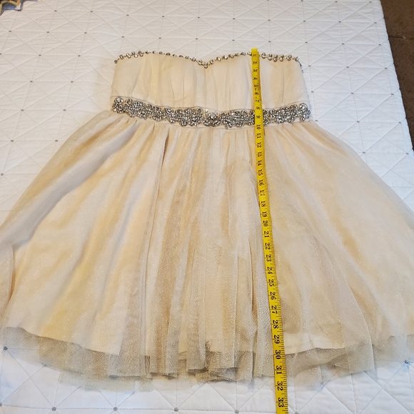 NWOT! Torrid Special Event Bejeweled Mesh Strapless Dress! Size 16. - Picture 9 of 11